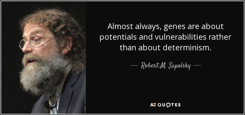 Almost always, genes are about potentials and vulnerabilities rather than about determinism. - Robert M. Sapolsky