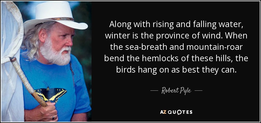 Along with rising and falling water, winter is the province of wind. When the sea-breath and mountain-roar bend the hemlocks of these hills, the birds hang on as best they can. - Robert Pyle