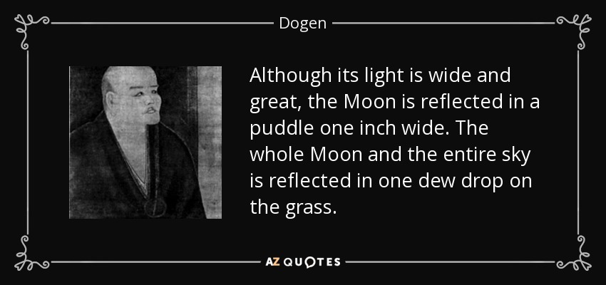 Although its light is wide and great, the Moon is reflected in a puddle one inch wide. The whole Moon and the entire sky is reflected in one dew drop on the grass. - Dogen