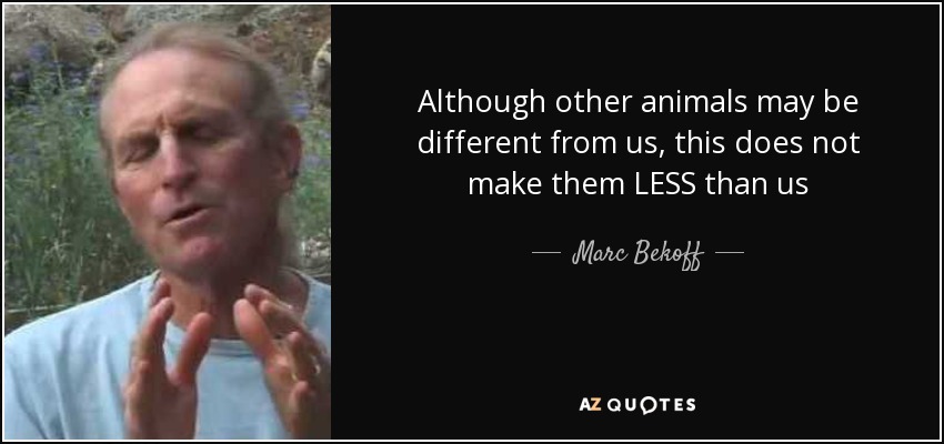Although other animals may be different from us, this does not make them LESS than us - Marc Bekoff