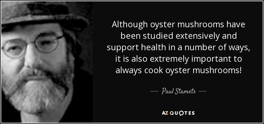 Although oyster mushrooms have been studied extensively and support health in a number of ways, it is also extremely important to always cook oyster mushrooms! - Paul Stamets