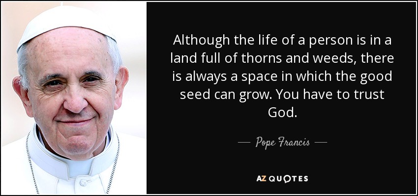 Although the life of a person is in a land full of thorns and weeds, there is always a space in which the good seed can grow. You have to trust God. - Pope Francis