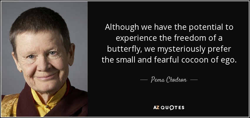 Although we have the potential to experience the freedom of a butterfly, we mysteriously prefer the small and fearful cocoon of ego. - Pema Chodron