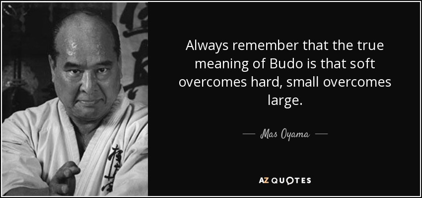 Always remember that the true meaning of Budo is that soft overcomes hard, small overcomes large. - Mas Oyama