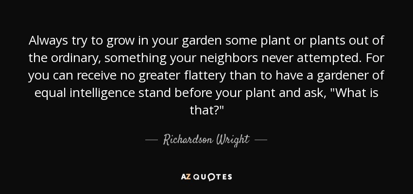 Always try to grow in your garden some plant or plants out of the ordinary, something your neighbors never attempted. For you can receive no greater flattery than to have a gardener of equal intelligence stand before your plant and ask, 