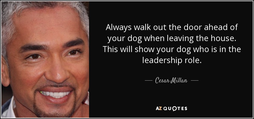 Always walk out the door ahead of your dog when leaving the house. This will show your dog who is in the leadership role. - Cesar Millan