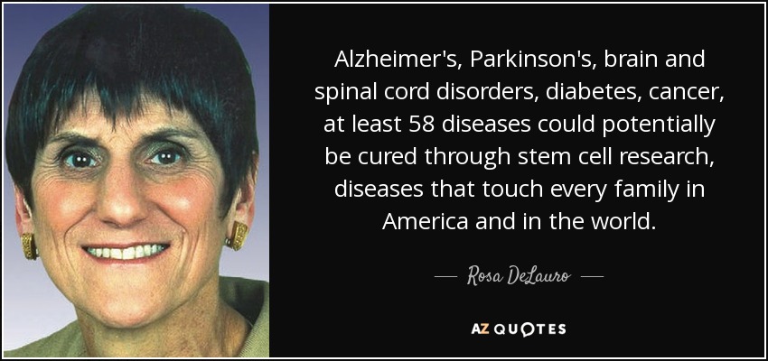 Alzheimer's, Parkinson's, brain and spinal cord disorders, diabetes, cancer, at least 58 diseases could potentially be cured through stem cell research, diseases that touch every family in America and in the world. - Rosa DeLauro