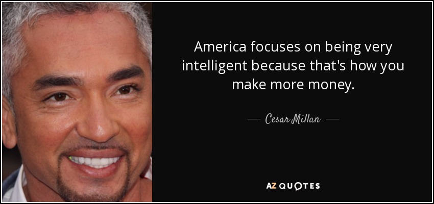 America focuses on being very intelligent because that's how you make more money. - Cesar Millan