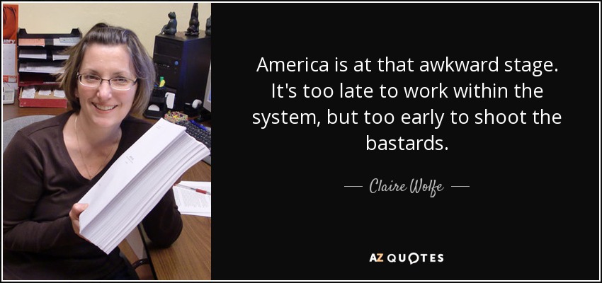 America is at that awkward stage. It's too late to work within the system, but too early to shoot the bastards. - Claire Wolfe