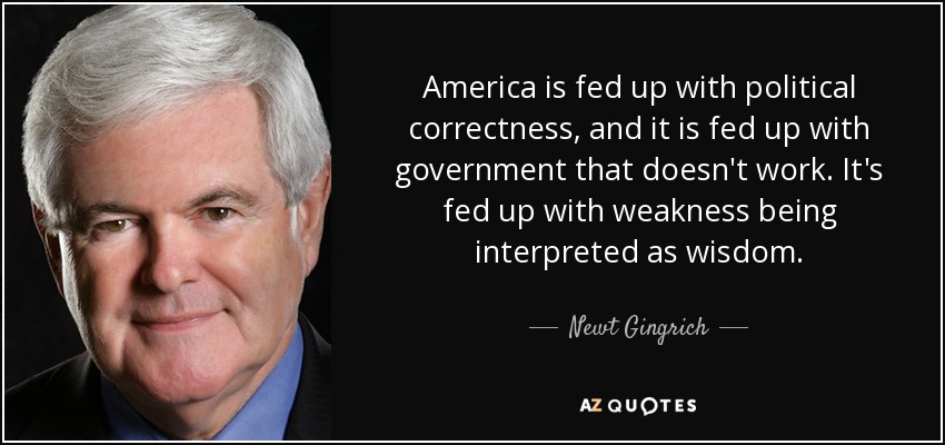 America is fed up with political correctness, and it is fed up with government that doesn't work. It's fed up with weakness being interpreted as wisdom. - Newt Gingrich