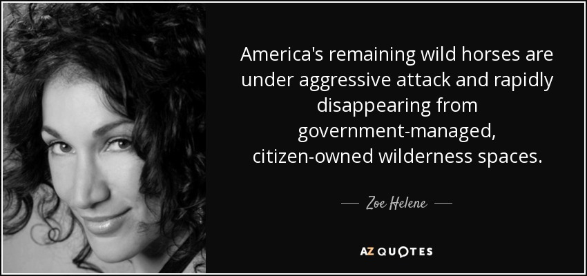 America's remaining wild horses are under aggressive attack and rapidly disappearing from government-managed, citizen-owned wilderness spaces. - Zoe Helene