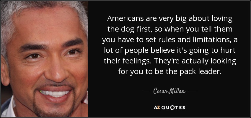 Americans are very big about loving the dog first, so when you tell them you have to set rules and limitations, a lot of people believe it's going to hurt their feelings. They're actually looking for you to be the pack leader. - Cesar Millan