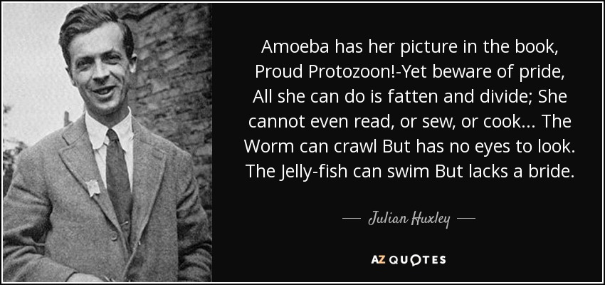 Amoeba has her picture in the book, Proud Protozoon!-Yet beware of pride, All she can do is fatten and divide; She cannot even read, or sew, or cook... The Worm can crawl But has no eyes to look. The Jelly-fish can swim But lacks a bride. - Julian Huxley