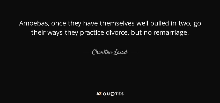 Amoebas, once they have themselves well pulled in two, go their ways-they practice divorce, but no remarriage. - Charlton Laird