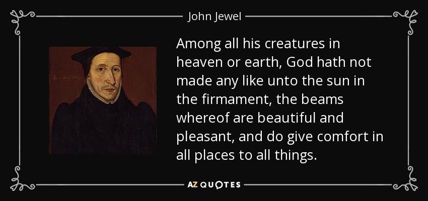 Among all his creatures in heaven or earth, God hath not made any like unto the sun in the firmament, the beams whereof are beautiful and pleasant, and do give comfort in all places to all things. - John Jewel