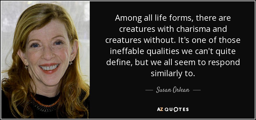 Among all life forms, there are creatures with charisma and creatures without. It's one of those ineffable qualities we can't quite define, but we all seem to respond similarly to. - Susan Orlean