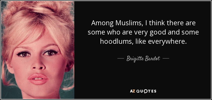 Among Muslims, I think there are some who are very good and some hoodlums, like everywhere. - Brigitte Bardot