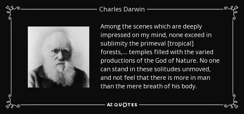 Among the scenes which are deeply impressed on my mind, none exceed in sublimity the primeval [tropical] forests, ... temples filled with the varied productions of the God of Nature. No one can stand in these solitudes unmoved, and not feel that there is more in man than the mere breath of his body. - Charles Darwin