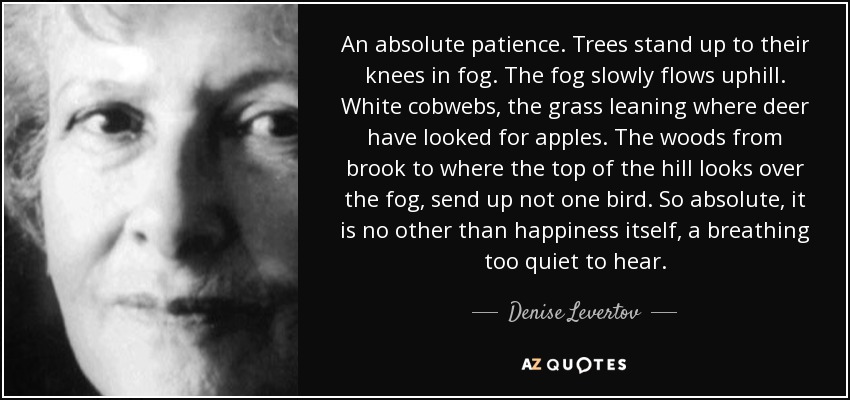 An absolute patience. Trees stand up to their knees in fog. The fog slowly flows uphill. White cobwebs, the grass leaning where deer have looked for apples. The woods from brook to where the top of the hill looks over the fog, send up not one bird. So absolute, it is no other than happiness itself, a breathing too quiet to hear. - Denise Levertov