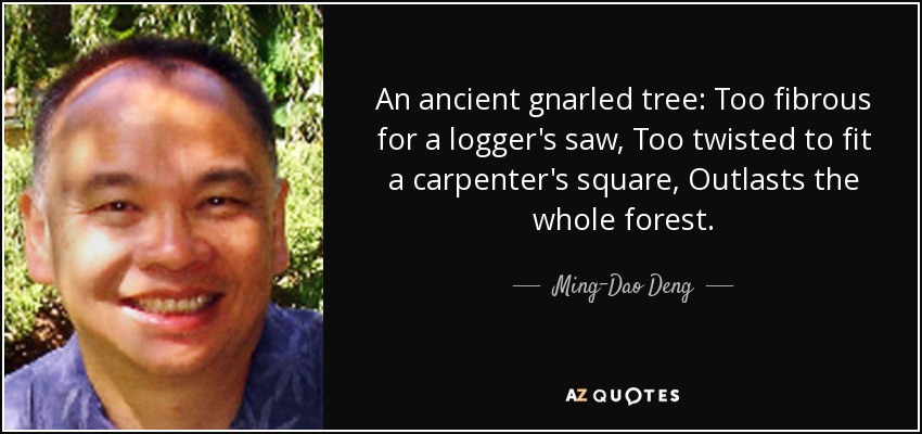 An ancient gnarled tree: Too fibrous for a logger's saw, Too twisted to fit a carpenter's square, Outlasts the whole forest. - Ming-Dao Deng