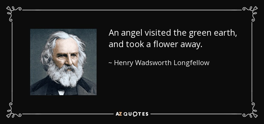 An angel visited the green earth, and took a flower away. - Henry Wadsworth Longfellow