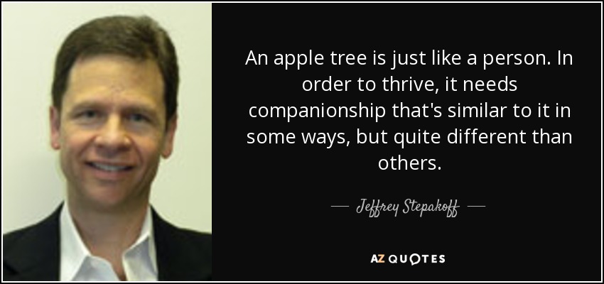 An apple tree is just like a person. In order to thrive, it needs companionship that's similar to it in some ways, but quite different than others. - Jeffrey Stepakoff