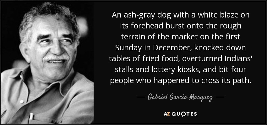 An ash-gray dog with a white blaze on its forehead burst onto the rough terrain of the market on the first Sunday in December, knocked down tables of fried food, overturned Indians' stalls and lottery kiosks, and bit four people who happened to cross its path. - Gabriel Garcia Marquez