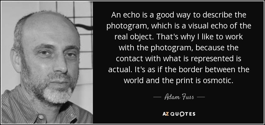 An echo is a good way to describe the photogram, which is a visual echo of the real object. That's why I like to work with the photogram, because the contact with what is represented is actual. It's as if the border between the world and the print is osmotic. - Adam Fuss