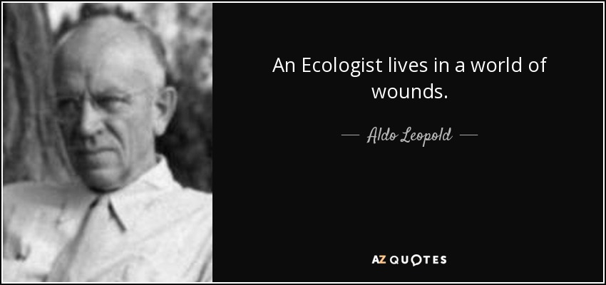 An Ecologist lives in a world of wounds. - Aldo Leopold