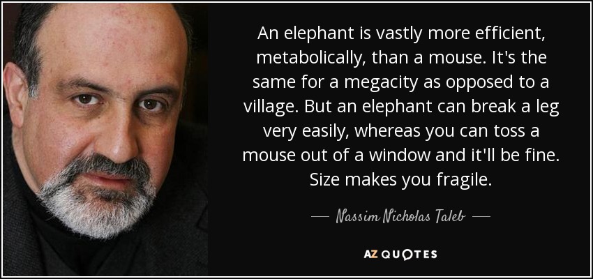 An elephant is vastly more efficient, metabolically, than a mouse. It's the same for a megacity as opposed to a village. But an elephant can break a leg very easily, whereas you can toss a mouse out of a window and it'll be fine. Size makes you fragile. - Nassim Nicholas Taleb