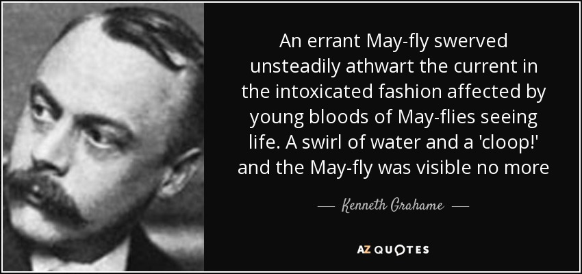 An errant May-fly swerved unsteadily athwart the current in the intoxicated fashion affected by young bloods of May-flies seeing life. A swirl of water and a 'cloop!' and the May-fly was visible no more - Kenneth Grahame