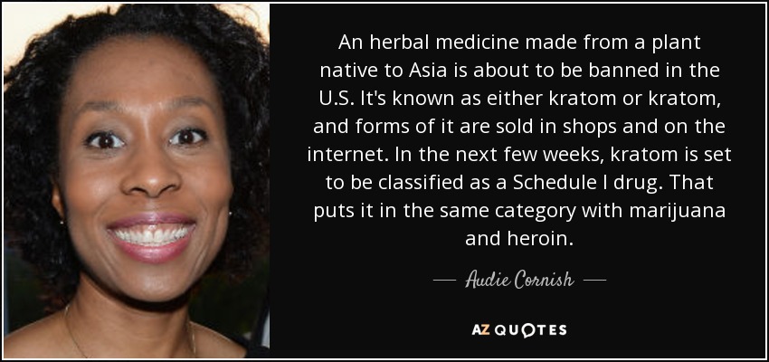 An herbal medicine made from a plant native to Asia is about to be banned in the U.S. It's known as either kratom or kratom, and forms of it are sold in shops and on the internet. In the next few weeks, kratom is set to be classified as a Schedule I drug. That puts it in the same category with marijuana and heroin. - Audie Cornish