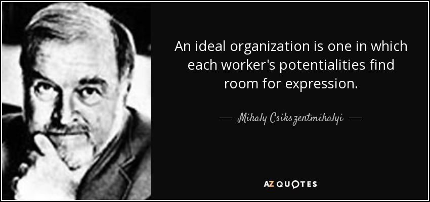 An ideal organization is one in which each worker's potentialities find room for expression. - Mihaly Csikszentmihalyi