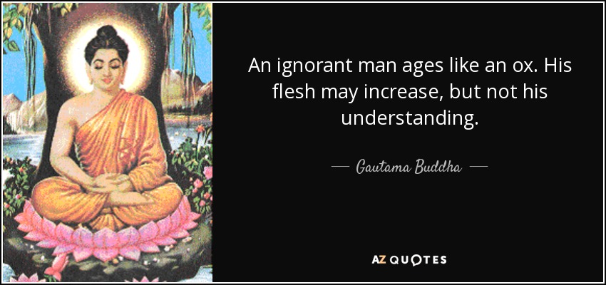 An ignorant man ages like an ox. His flesh may increase, but not his understanding. - Gautama Buddha