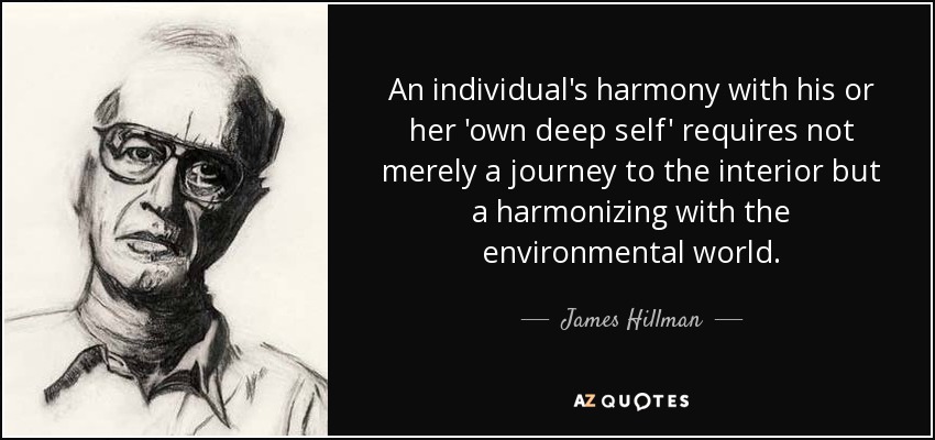 An individual's harmony with his or her 'own deep self' requires not merely a journey to the interior but a harmonizing with the environmental world. - James Hillman