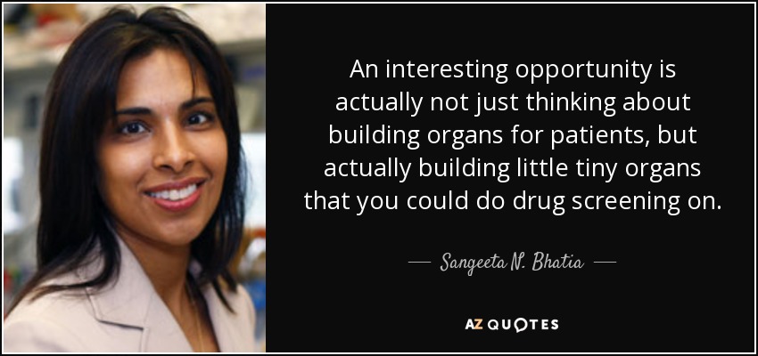 An interesting opportunity is actually not just thinking about building organs for patients, but actually building little tiny organs that you could do drug screening on. - Sangeeta N. Bhatia