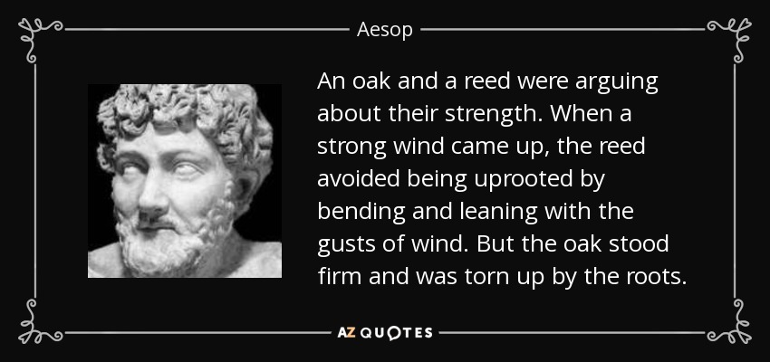 An oak and a reed were arguing about their strength. When a strong wind came up, the reed avoided being uprooted by bending and leaning with the gusts of wind. But the oak stood firm and was torn up by the roots. - Aesop