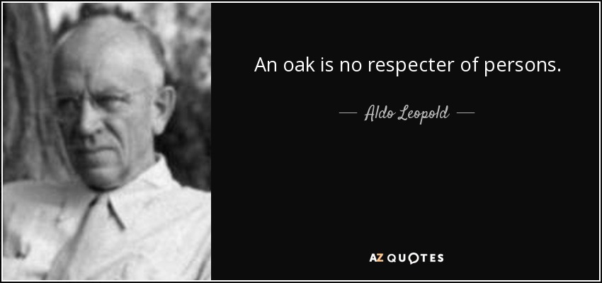 An oak is no respecter of persons. - Aldo Leopold