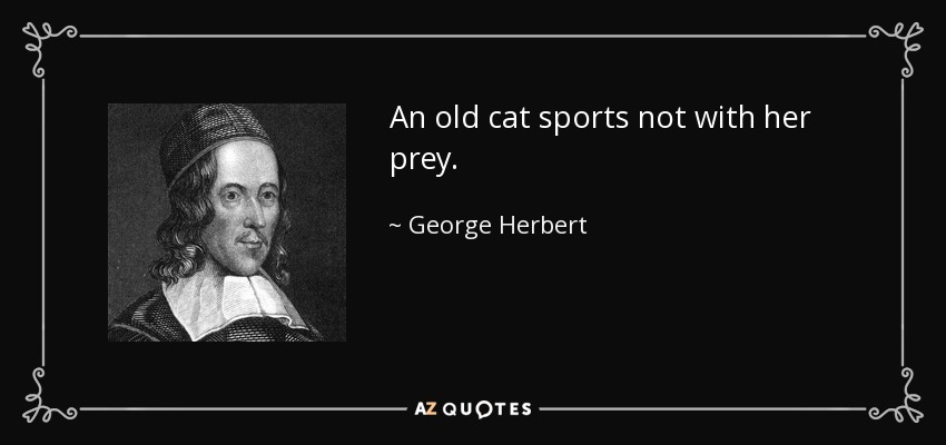 An old cat sports not with her prey. - George Herbert