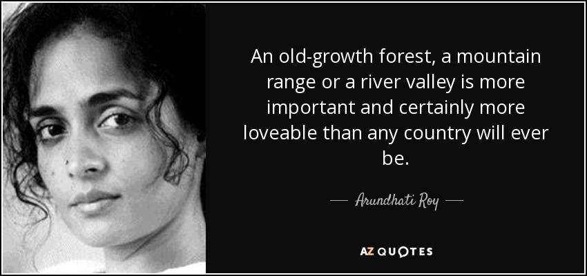 An old-growth forest, a mountain range or a river valley is more important and certainly more loveable than any country will ever be. - Arundhati Roy