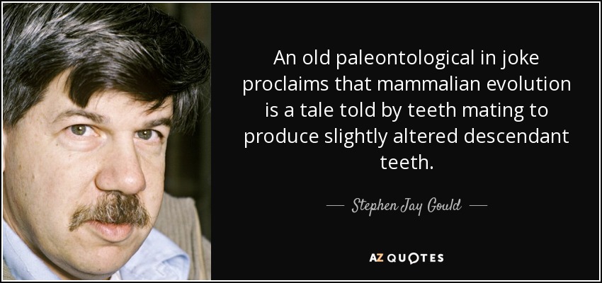 An old paleontological in joke proclaims that mammalian evolution is a tale told by teeth mating to produce slightly altered descendant teeth. - Stephen Jay Gould