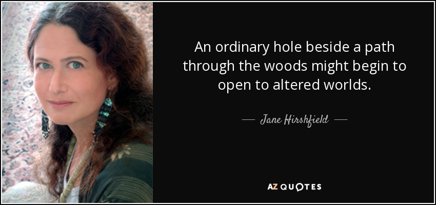 An ordinary hole beside a path through the woods might begin to open to altered worlds. - Jane Hirshfield
