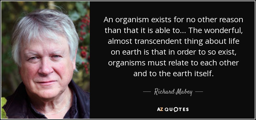 An organism exists for no other reason than that it is able to... The wonderful, almost transcendent thing about life on earth is that in order to so exist, organisms must relate to each other and to the earth itself. - Richard Mabey