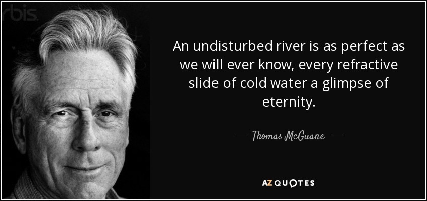 An undisturbed river is as perfect as we will ever know, every refractive slide of cold water a glimpse of eternity. - Thomas McGuane
