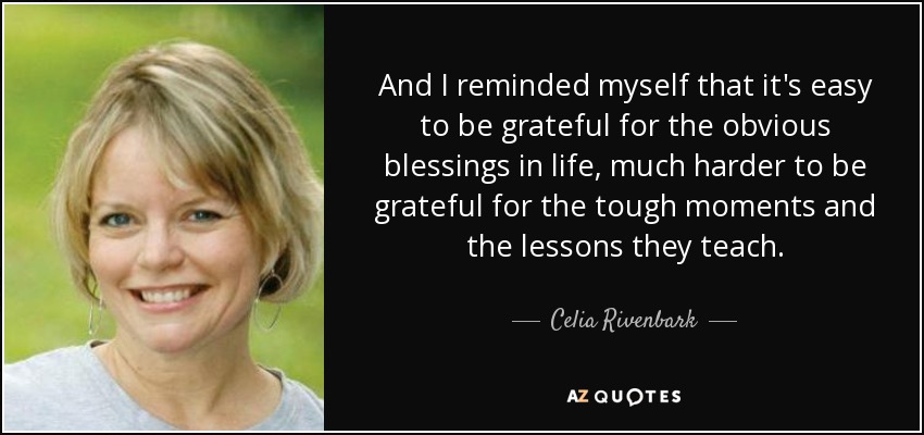 And I reminded myself that it's easy to be grateful for the obvious blessings in life, much harder to be grateful for the tough moments and the lessons they teach. - Celia Rivenbark