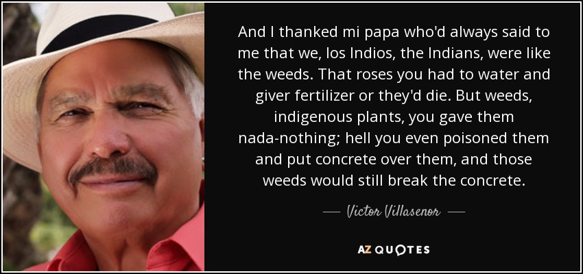 And I thanked mi papa who'd always said to me that we, los Indios, the Indians, were like the weeds. That roses you had to water and giver fertilizer or they'd die. But weeds, indigenous plants, you gave them nada-nothing; hell you even poisoned them and put concrete over them, and those weeds would still break the concrete. - Victor Villasenor