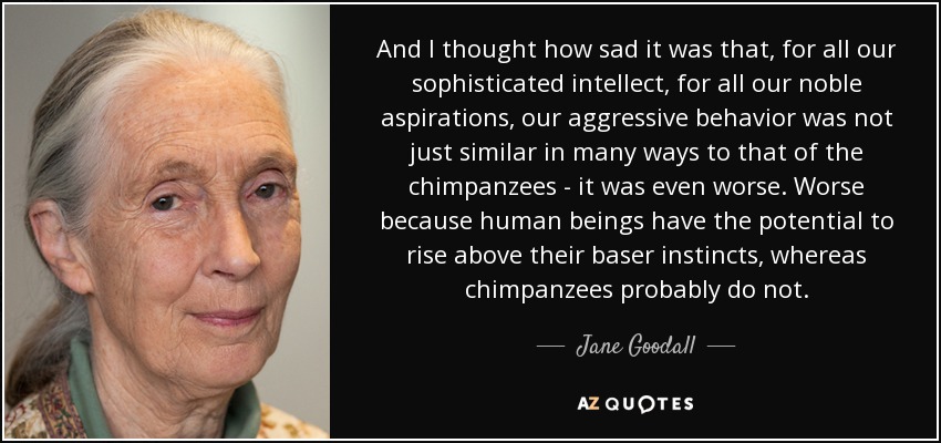 And I thought how sad it was that, for all our sophisticated intellect, for all our noble aspirations, our aggressive behavior was not just similar in many ways to that of the chimpanzees - it was even worse. Worse because human beings have the potential to rise above their baser instincts, whereas chimpanzees probably do not. - Jane Goodall