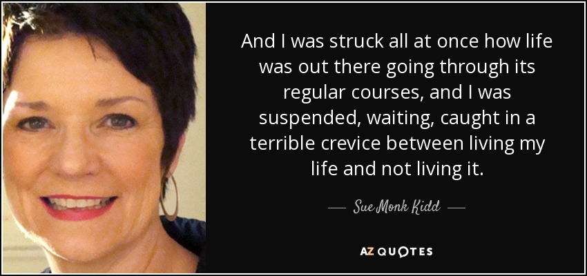 And I was struck all at once how life was out there going through its regular courses, and I was suspended, waiting, caught in a terrible crevice between living my life and not living it. - Sue Monk Kidd