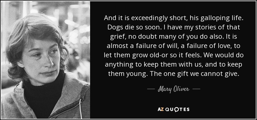 And it is exceedingly short, his galloping life. Dogs die so soon. I have my stories of that grief, no doubt many of you do also. It is almost a failure of will, a failure of love, to let them grow old-or so it feels. We would do anything to keep them with us, and to keep them young. The one gift we cannot give. - Mary Oliver