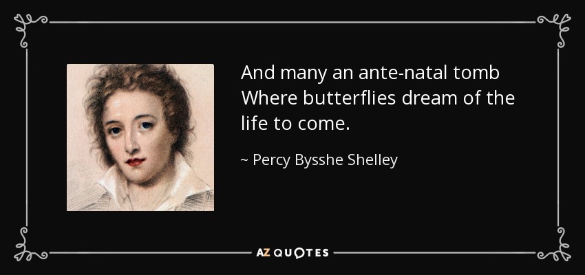 And many an ante-natal tomb Where butterflies dream of the life to come. - Percy Bysshe Shelley